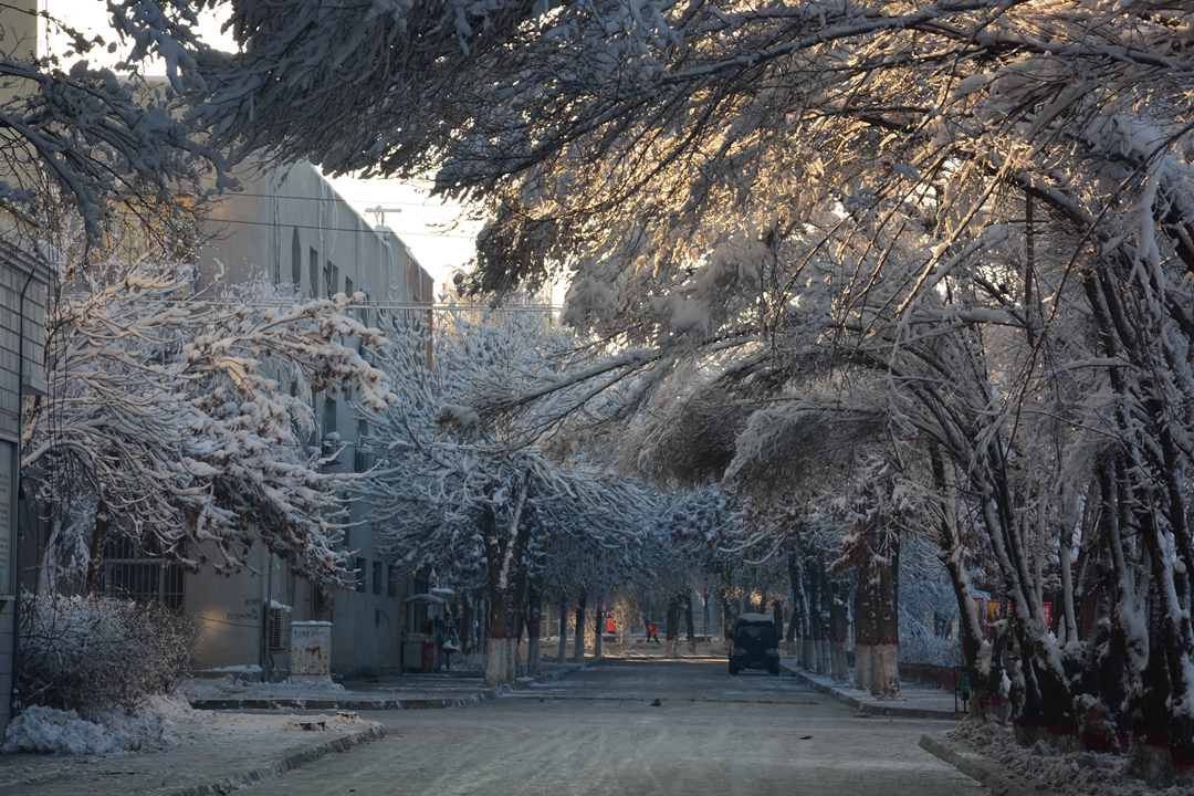 ��ɽ��Ͽ�� 292_����.jpg