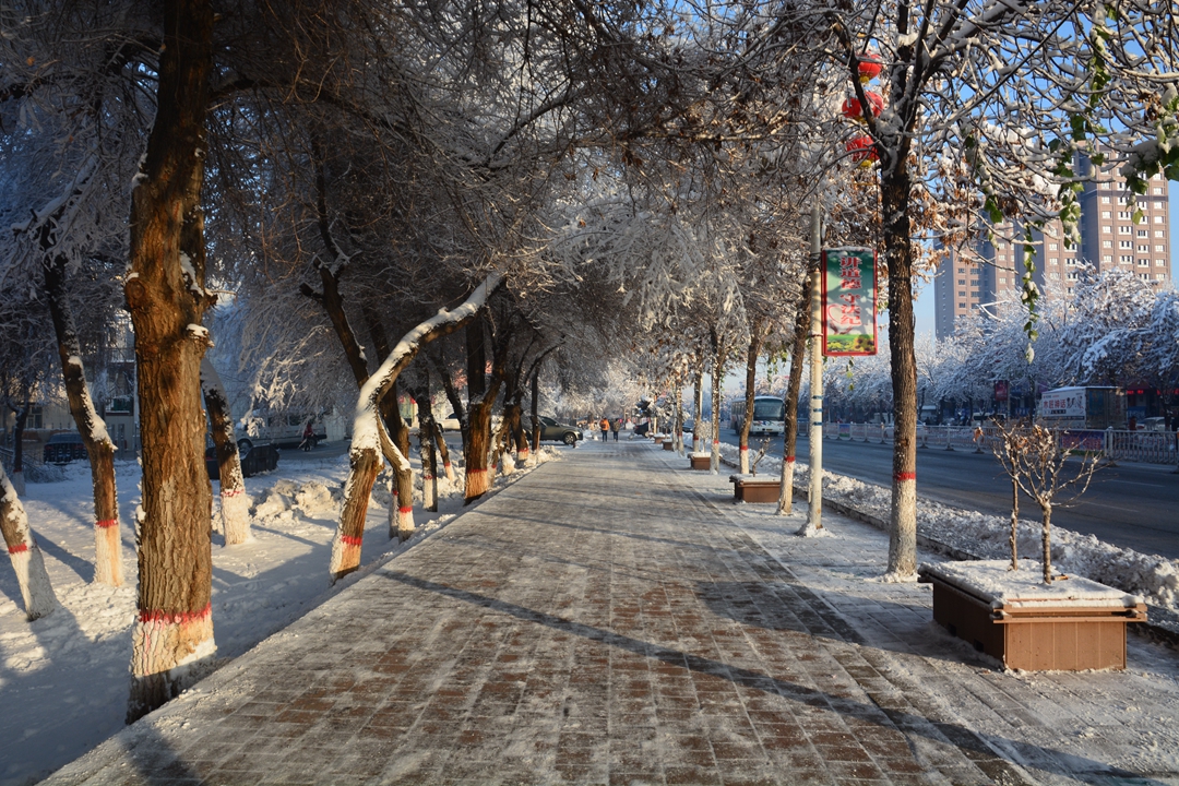 ��ɽ��Ͽ�� 319_����.jpg