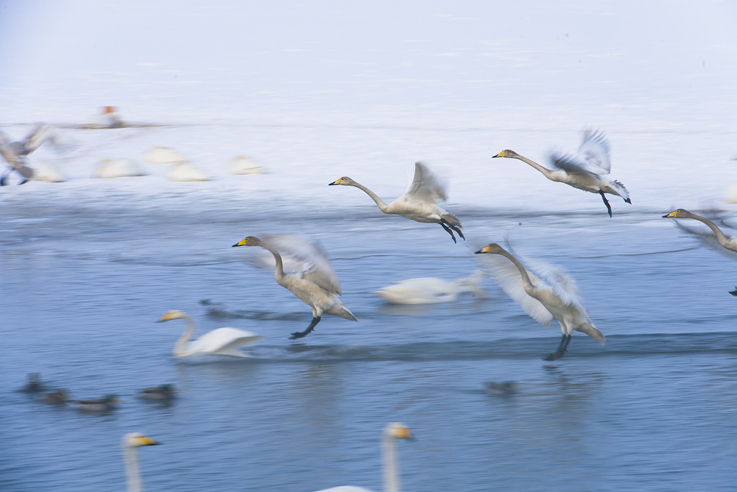 ���䱱�������ң�