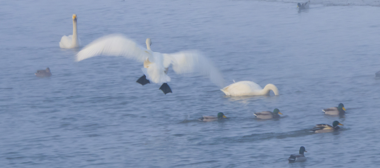 �һ����ˣ�����