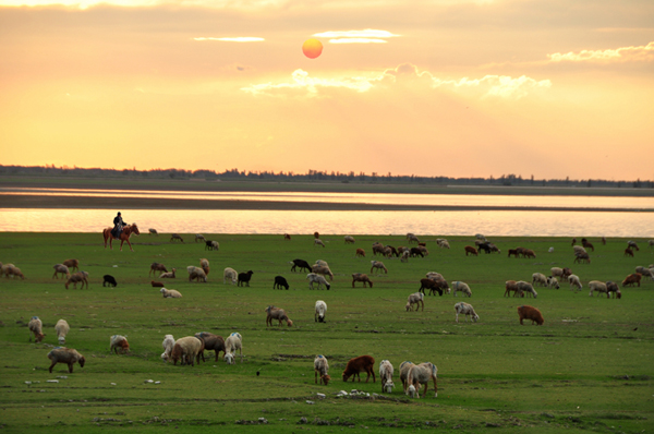 �����Ĳ�ԭ�ҵļ� ��������Ӱ����1.jpg