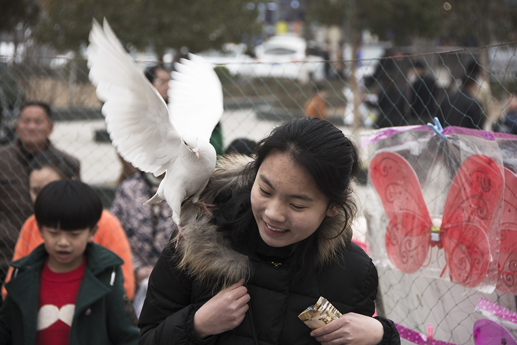 ����.����--���ǹ�ͬ�ļ�԰