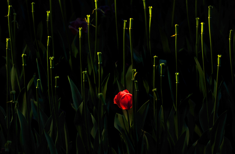 ������ ����.jpg