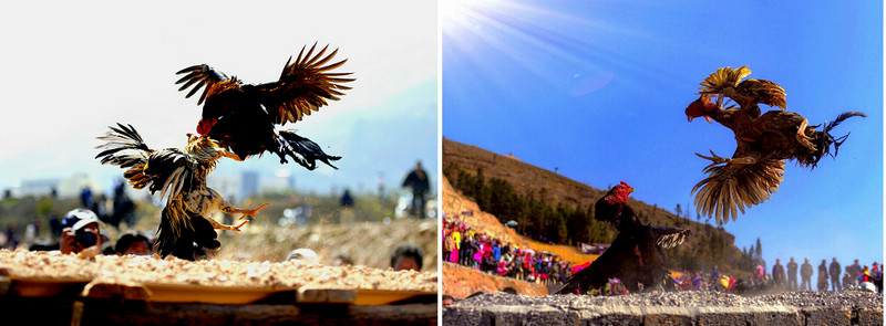 ��̨��ս����������