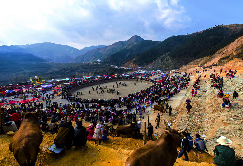 ���˶�Ա���볡����ţ������Ϥ����