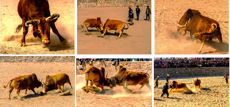 ��սɳ����ţ������