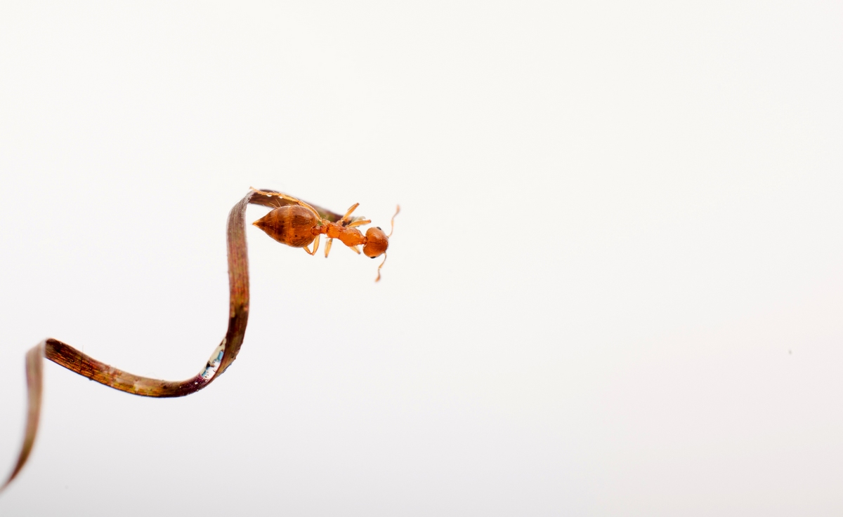 ����ٸ��� (5).jpg