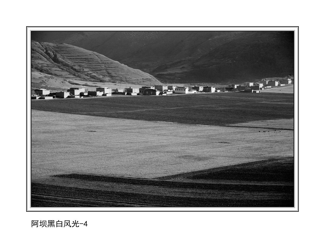 ���Ӻڰ׷��ϵ�� 4.JPG