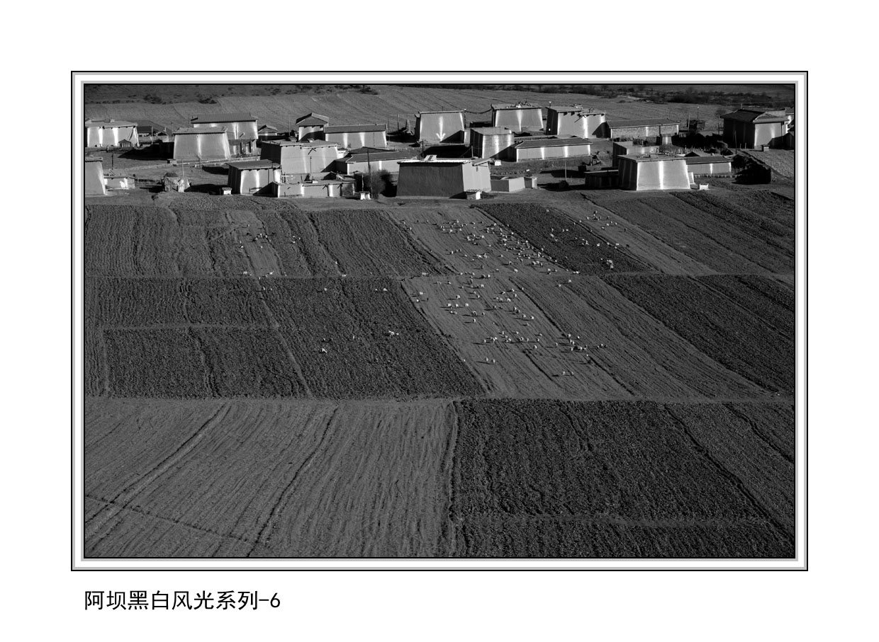 ���Ӻڰ׷��ϵ�� 6.jpg