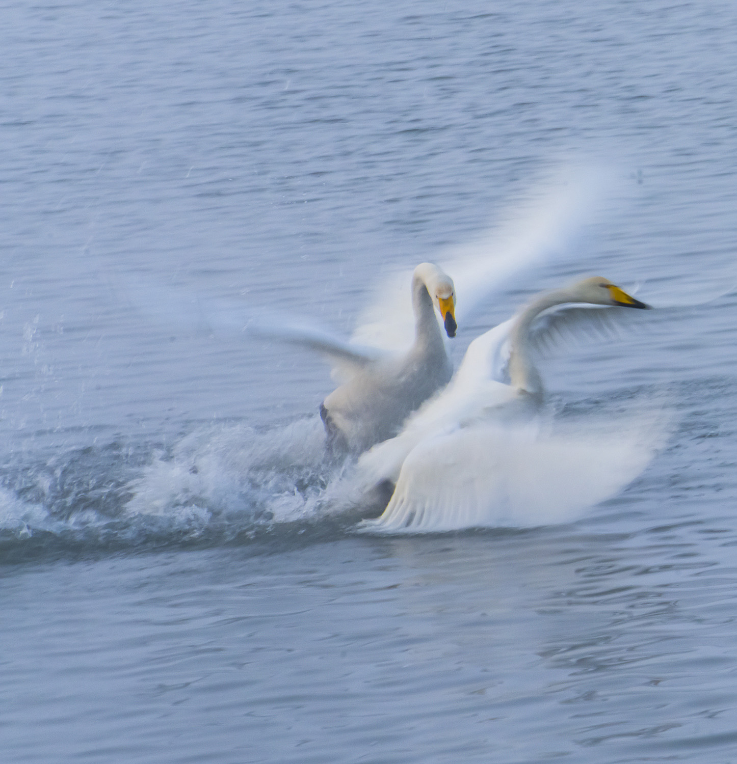 ���ݵ����