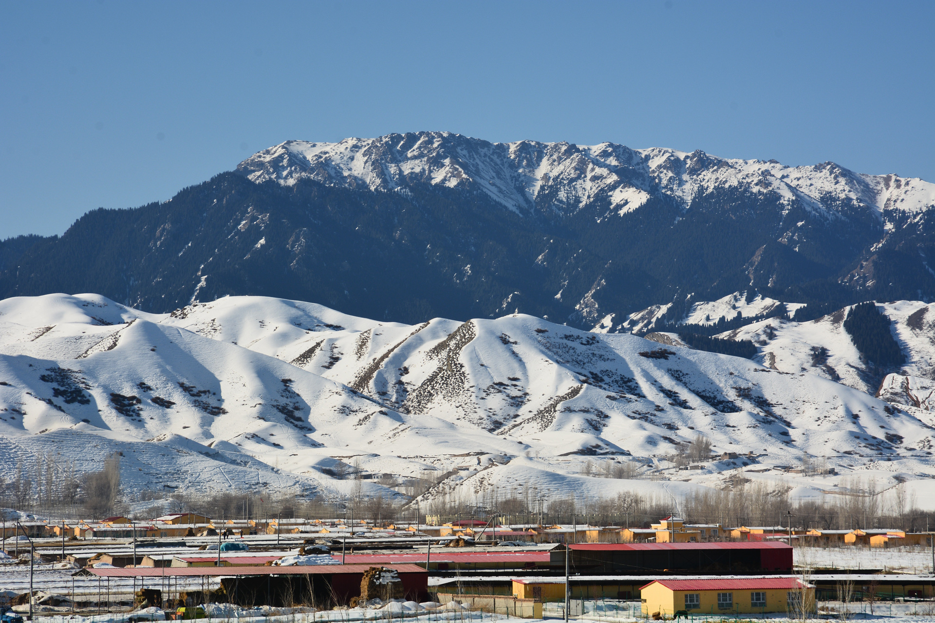 ������ָɽ 016 ����.jpg