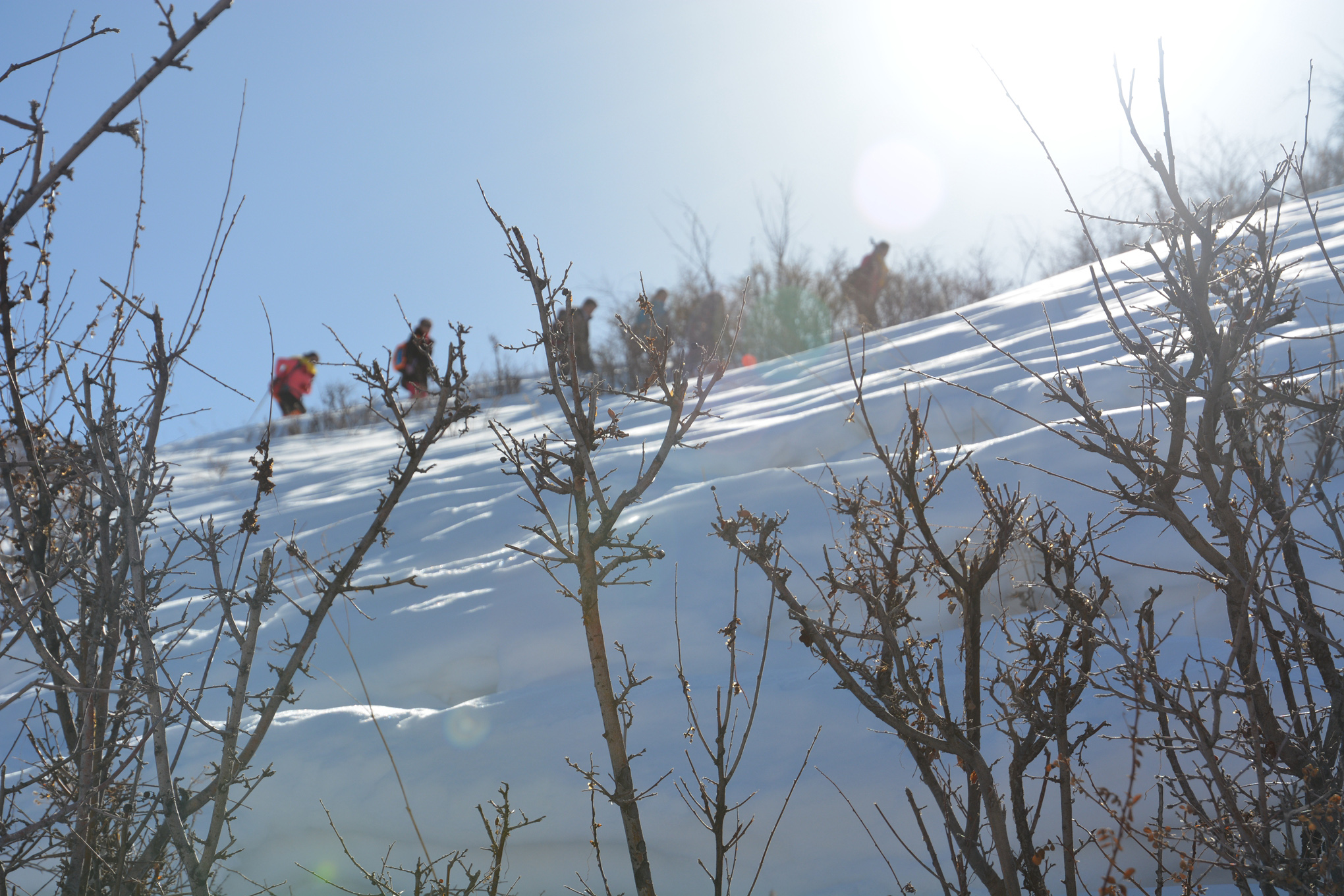 ������ָɽ 041_���� ����.jpg