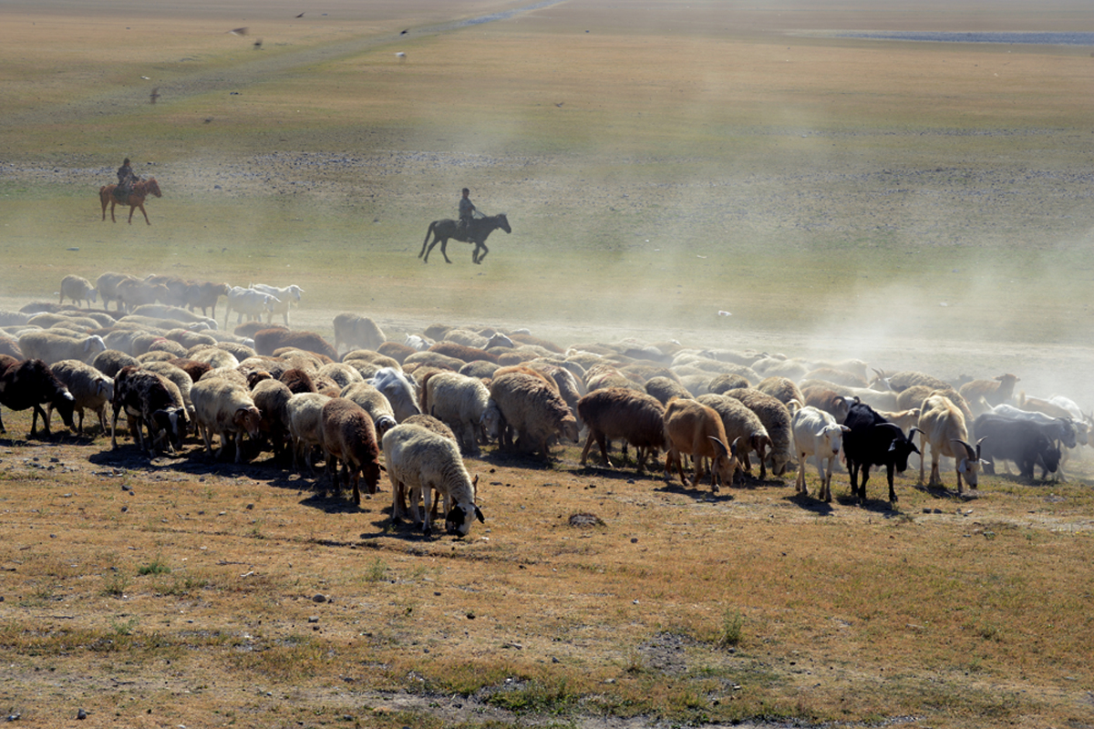 DSC_1680_  ����.jpg