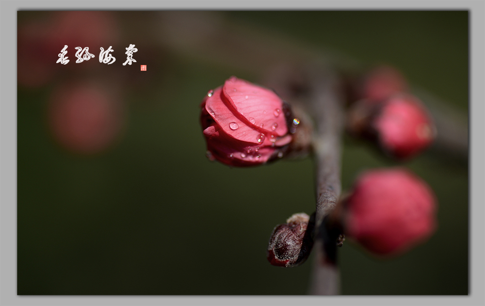 ��˿����1 (1).JPG