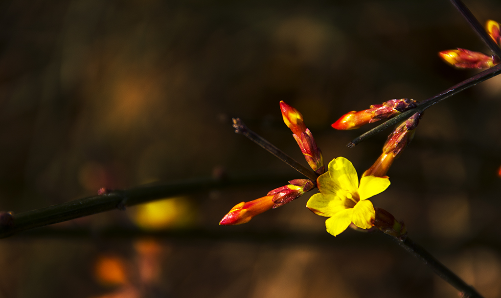 ӭ������