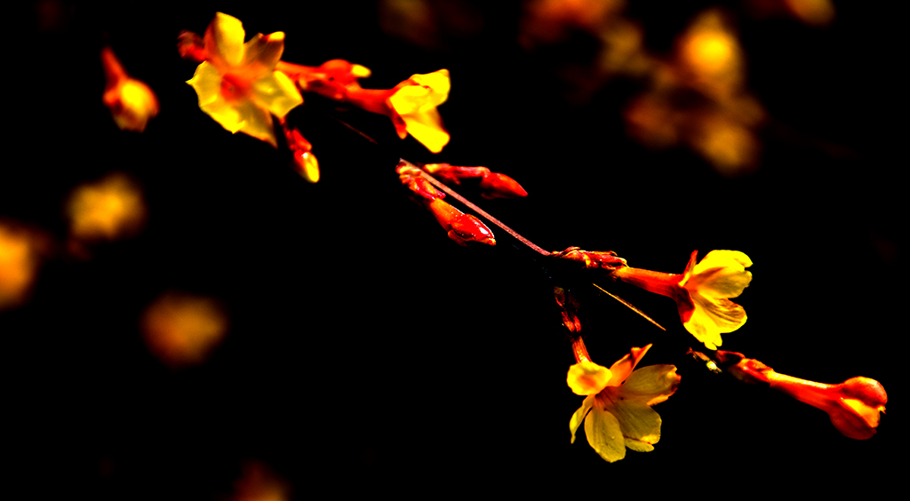 ӭ������