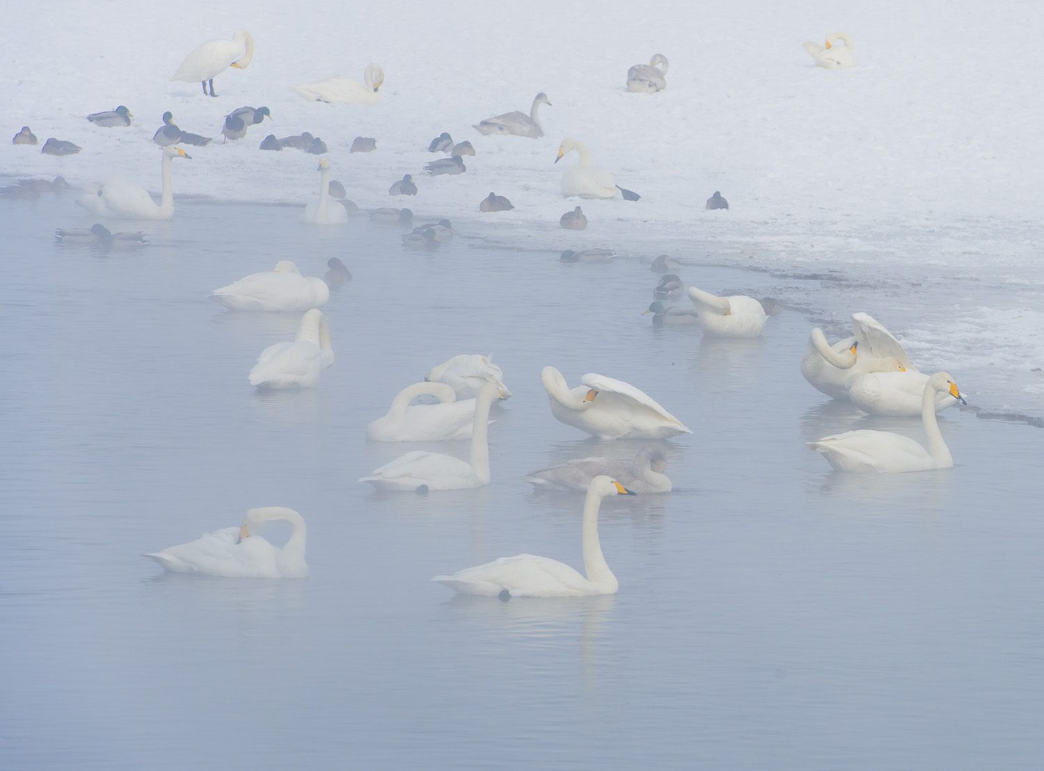 ������ױ��˭��