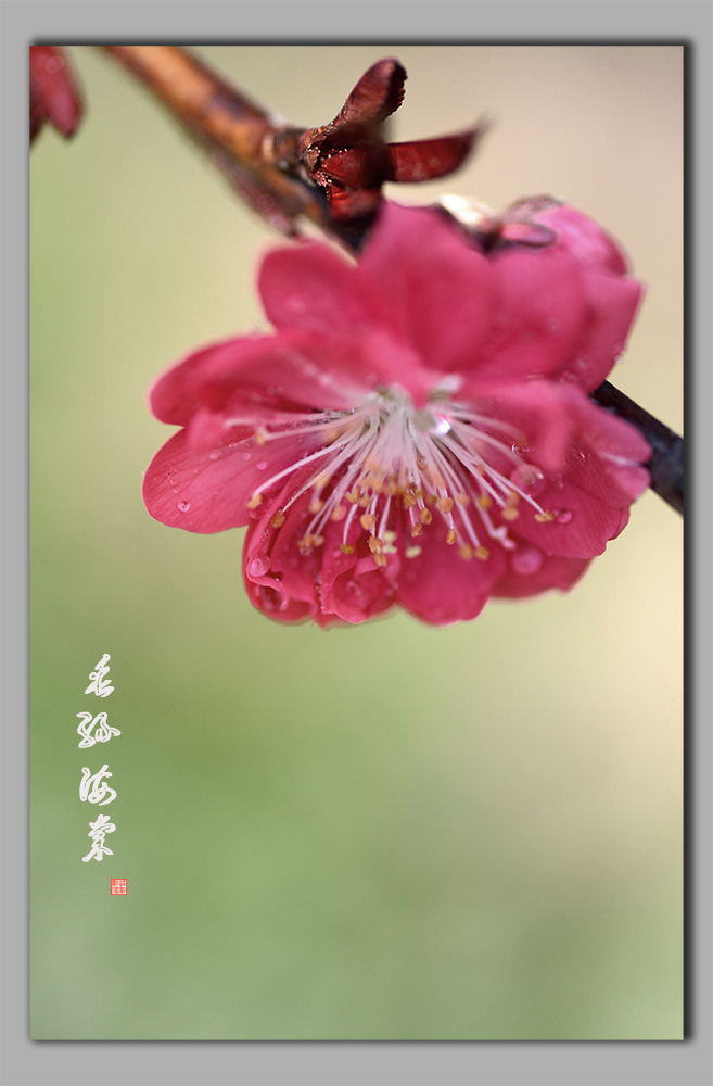 ��˿����1 (2).JPG