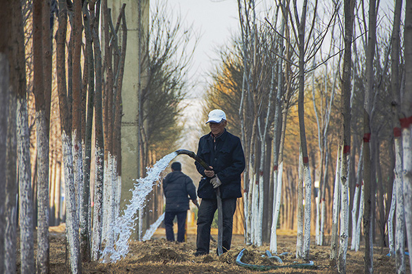 ���Ѵ�ɫ������