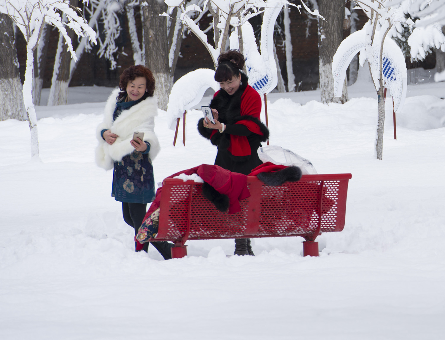 ����������Ů