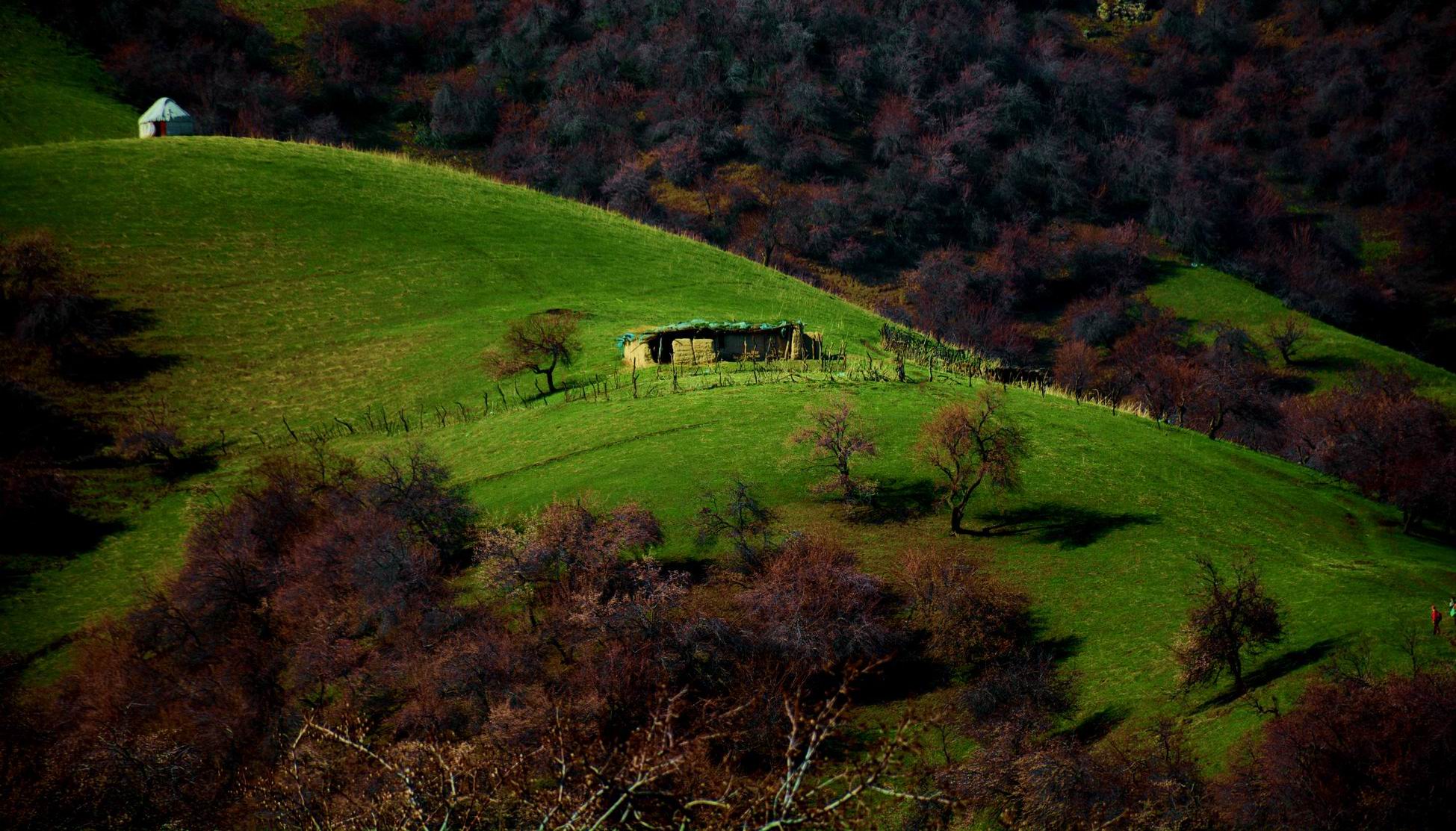 ������С DSC_8904_����.jpg