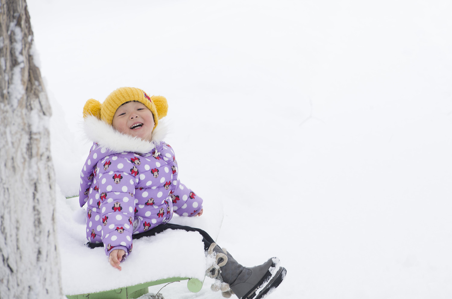 ������ѩ���а���