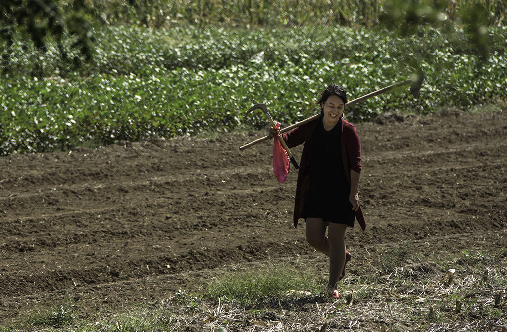 �Ͷ��޸�---��Ұ֮��