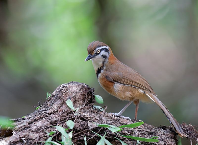 ���I���� 1.jpg