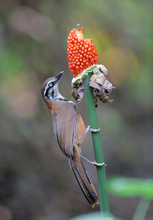 ���I���� 2.jpg