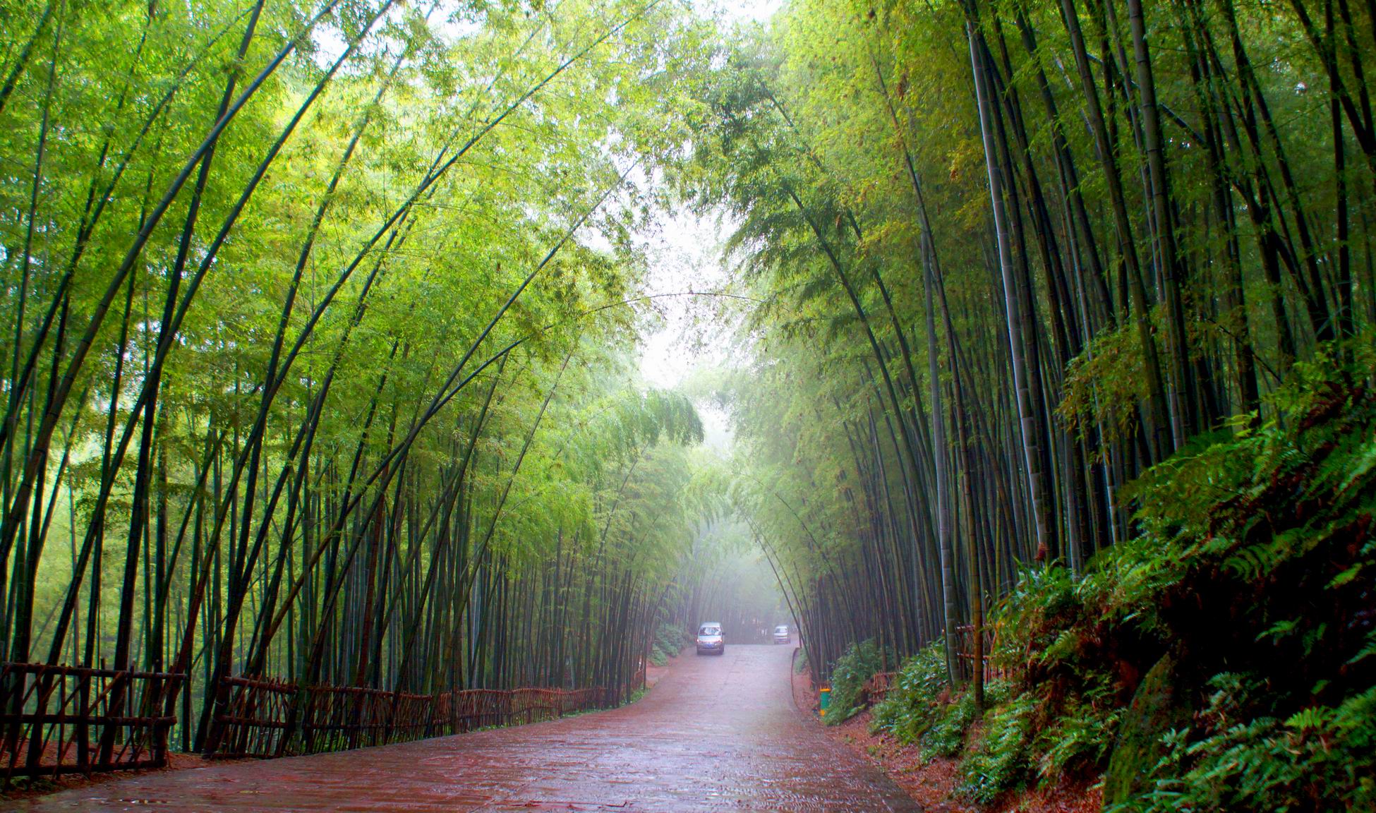 ������С 0 (88).JPG