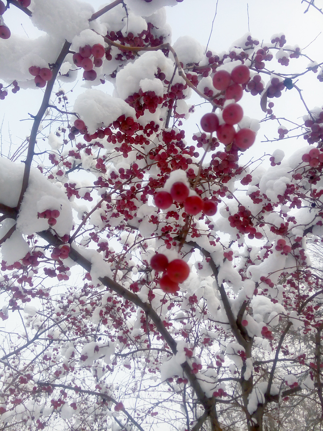 ͯ����������Ǻ�«