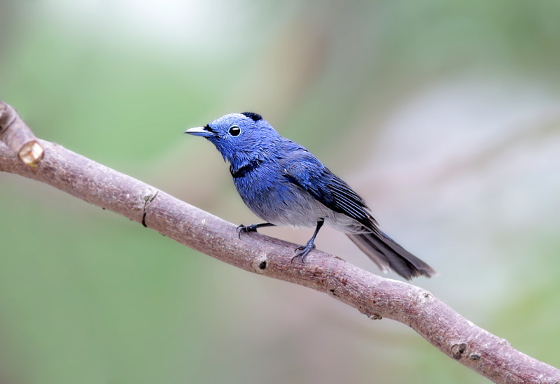 �������O 4.jpg