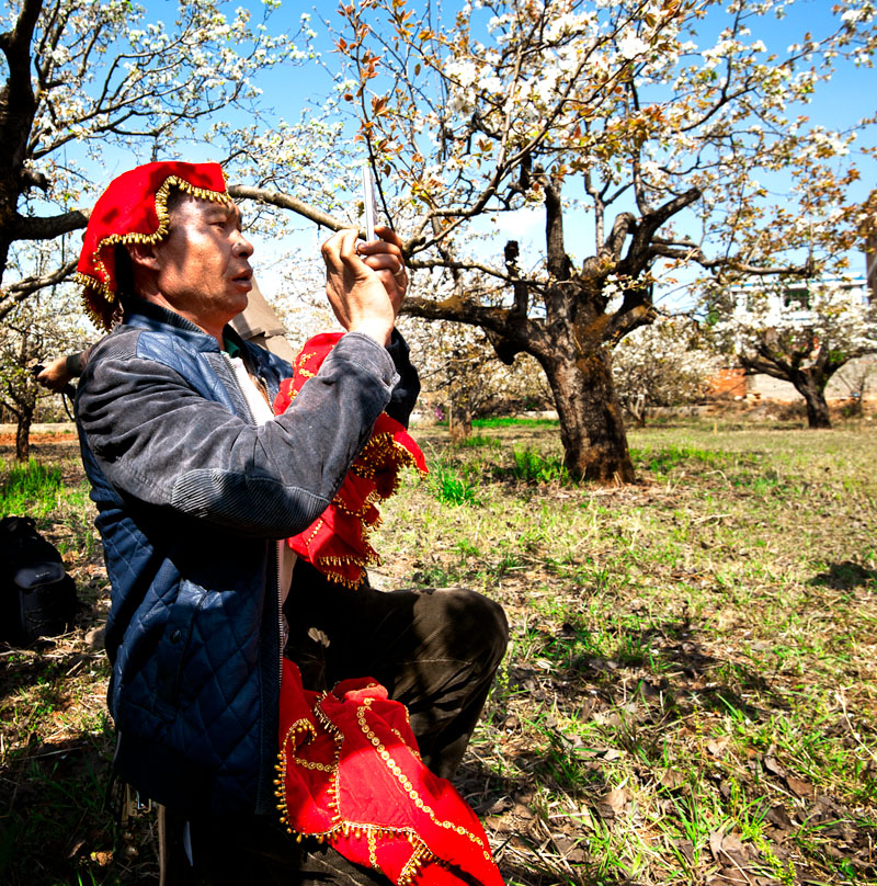 ���ձ��ݶӵ�����