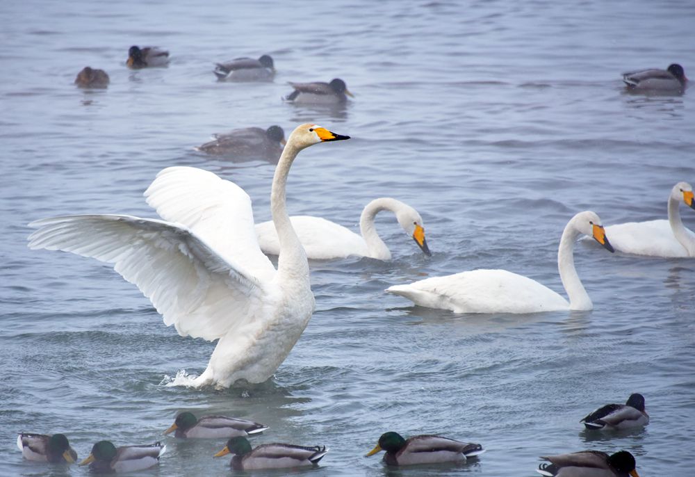 ѧϰ 569����_����.jpg