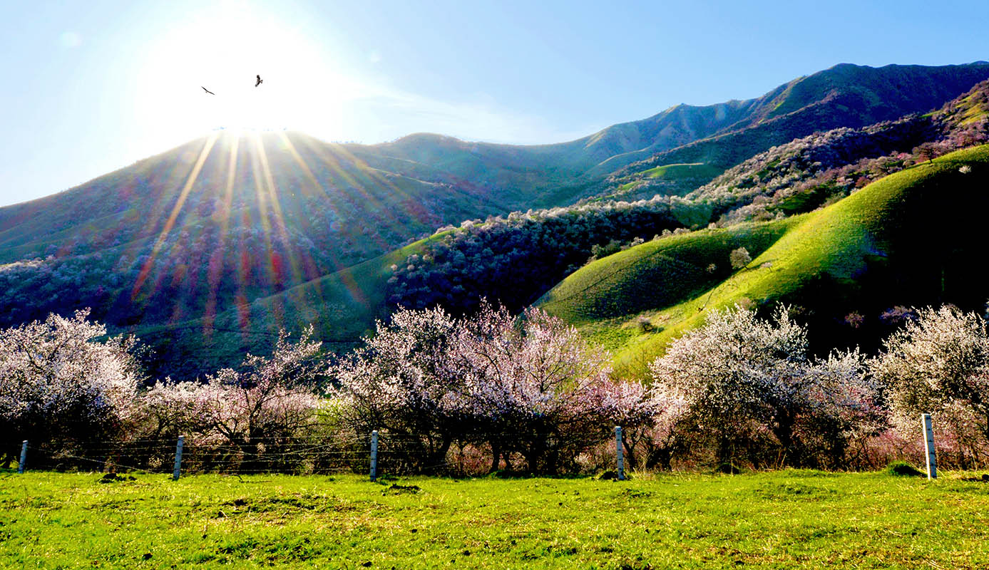 �����½��ӻ���  ��Ӱ�����ٺ� �ֻ���13319935172   (2)����.jpg