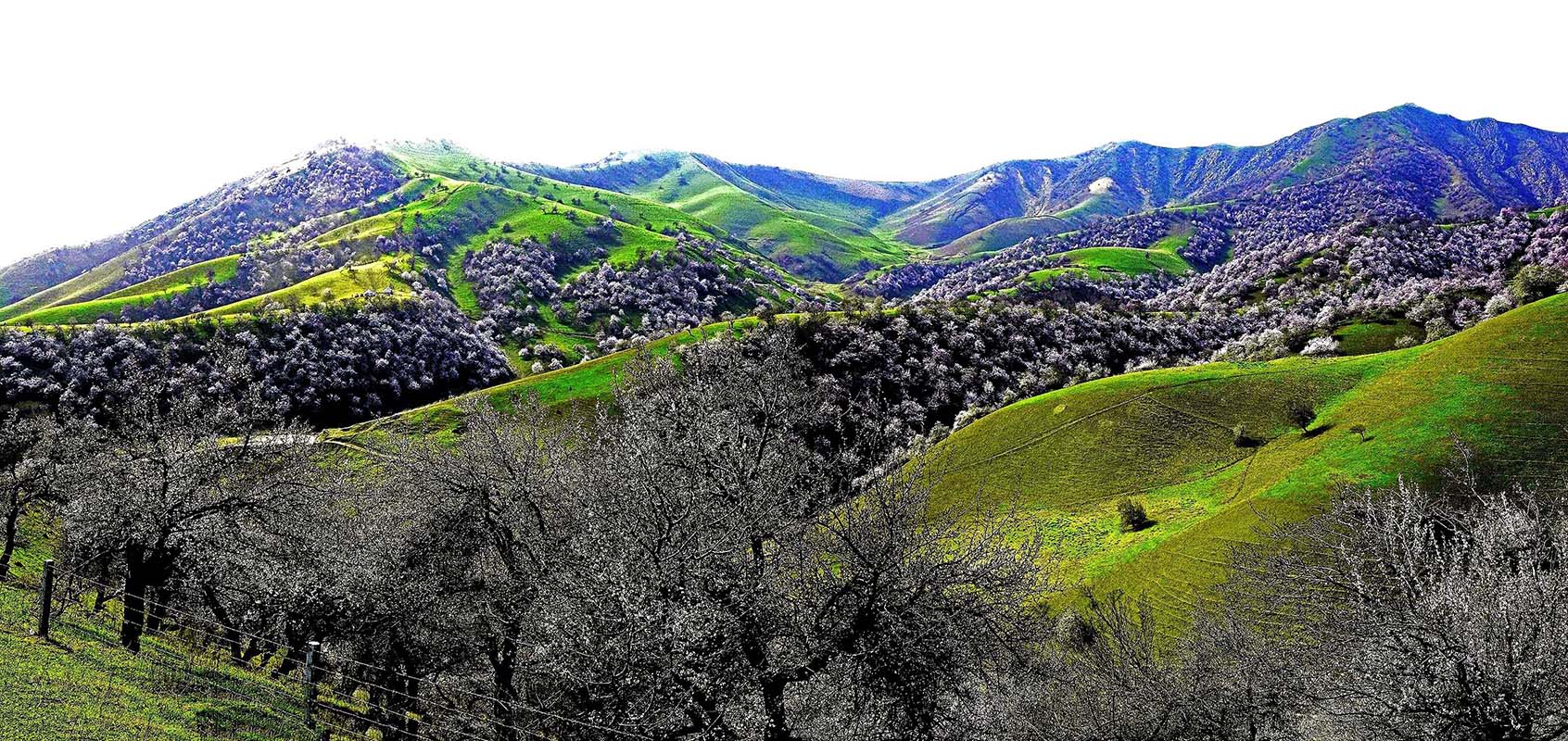 �����½��ӻ���  ��Ӱ�����ٺ� �ֻ���13319935172   (3)����.jpg