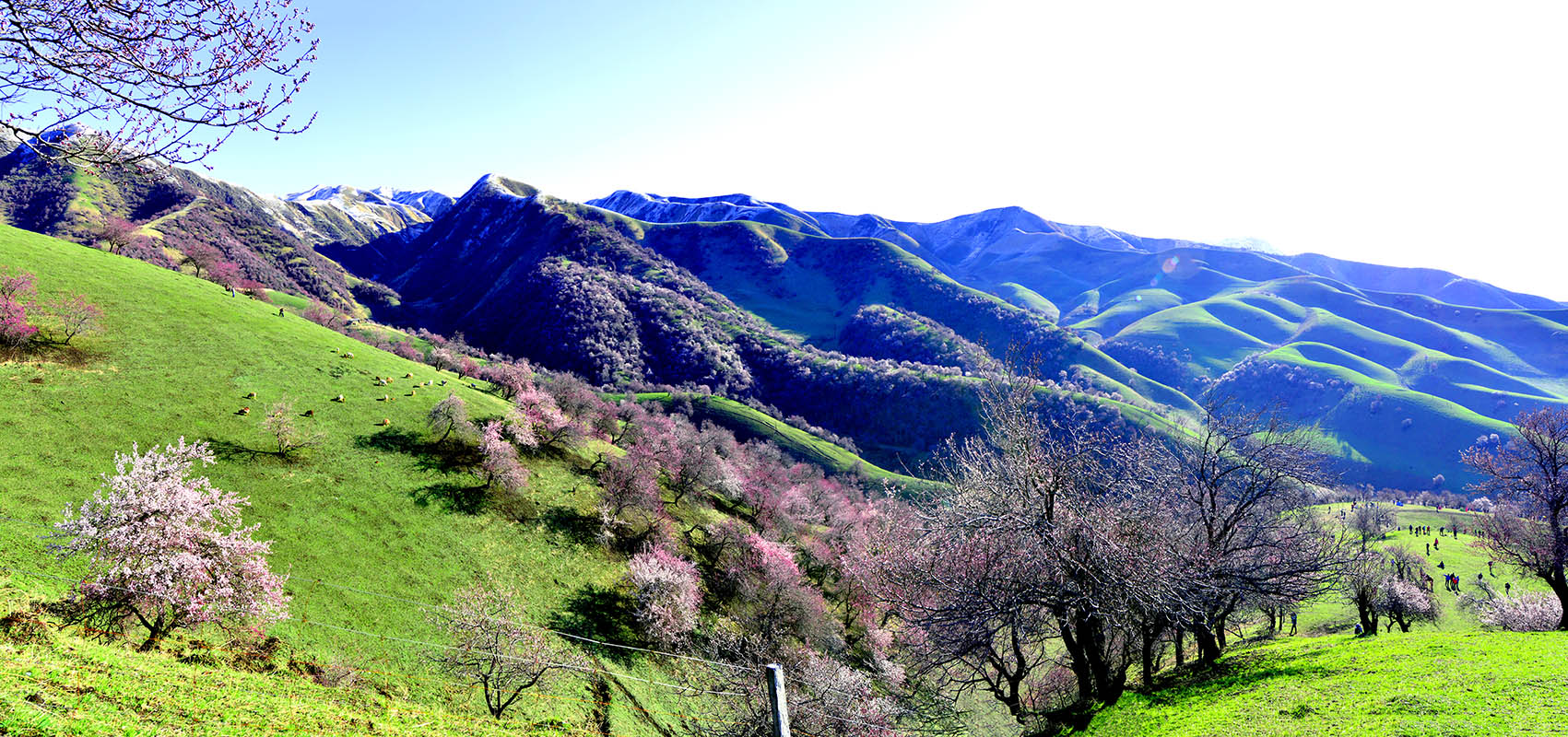 �����½��ӻ���  ��Ӱ�����ٺ� �ֻ���13319935172   (4)����.jpg