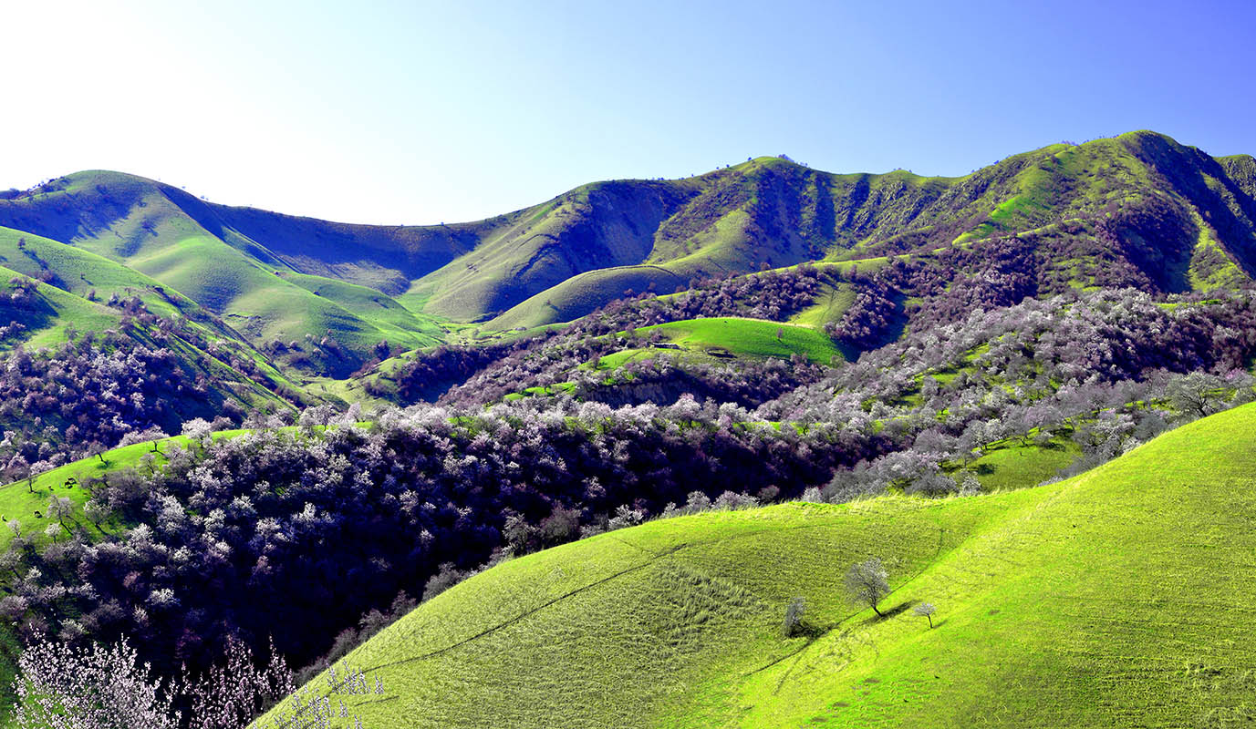 �����½��ӻ���  ��Ӱ�����ٺ� �ֻ���13319935172   (6)����.jpg