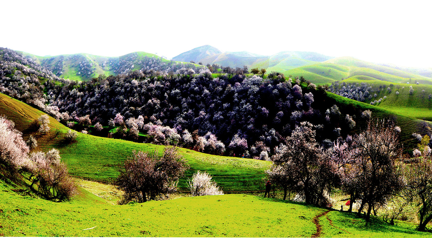 �����½��ӻ���  ��Ӱ�����ٺ� �ֻ���13319935172   (7)����.jpg