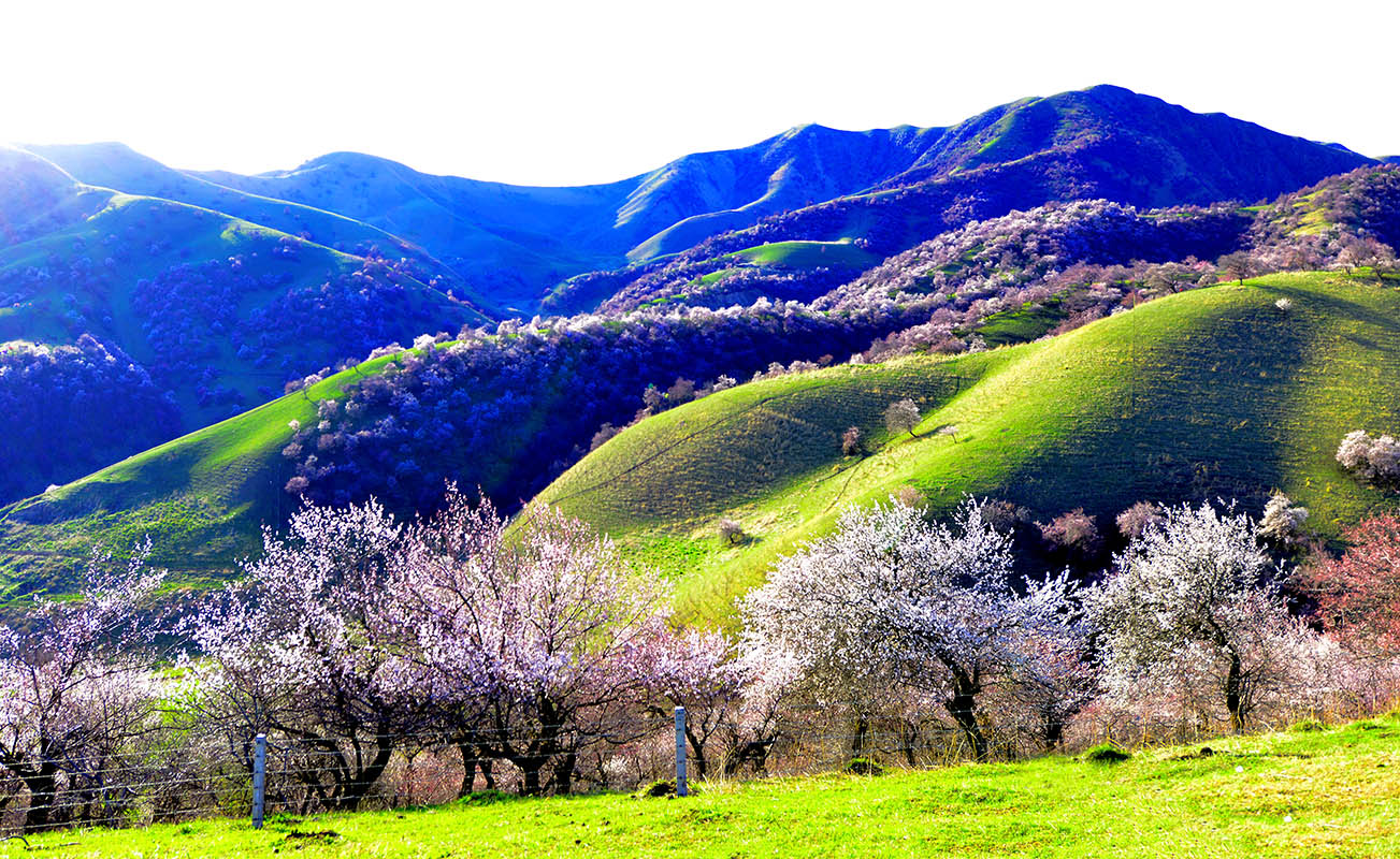 �����½��ӻ���  ��Ӱ�����ٺ� �ֻ���13319935172   (8)����.jpg