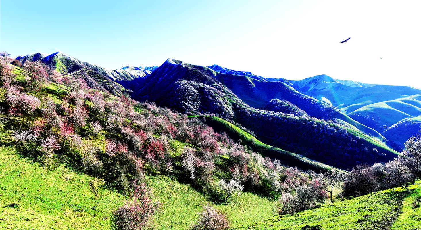 �����½��ӻ���  ��Ӱ�����ٺ� �ֻ���13319935172   (9)����.jpg