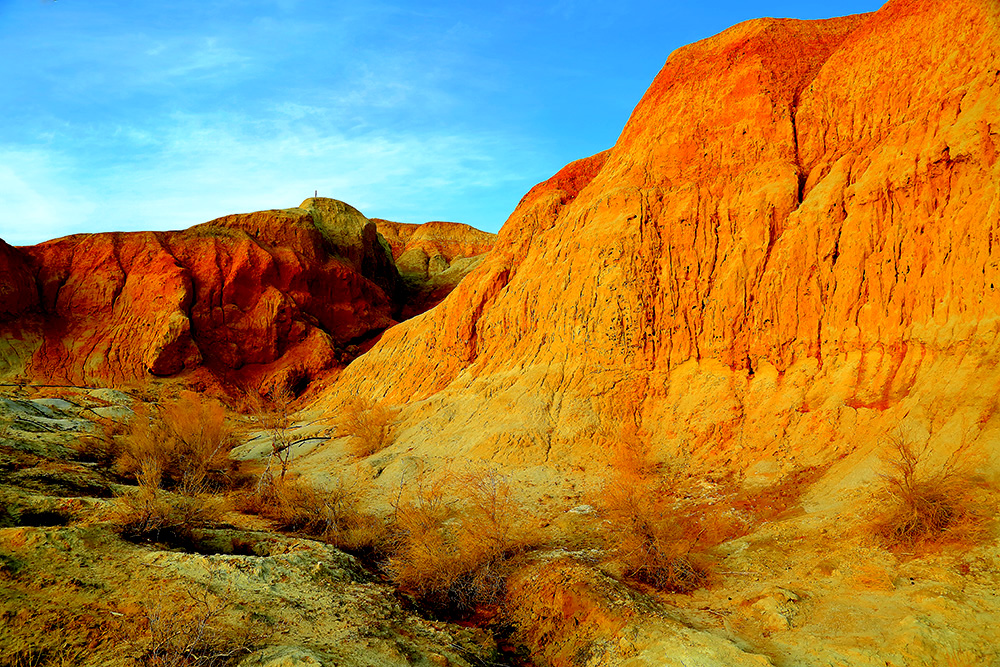 �������� (5).jpg