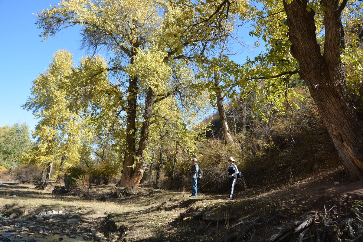 ��ͼ��ʯ���������־��� 219_����.jpg