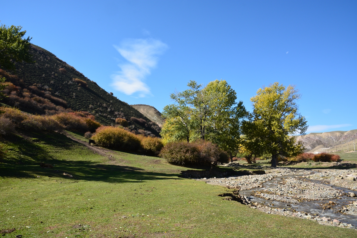 ��ͼ��ʯ���������־��� 078_����.jpg