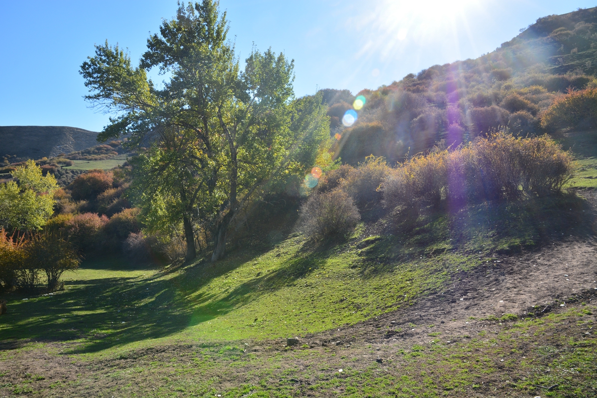 ��ͼ��ʯ���������־��� 080_����.jpg