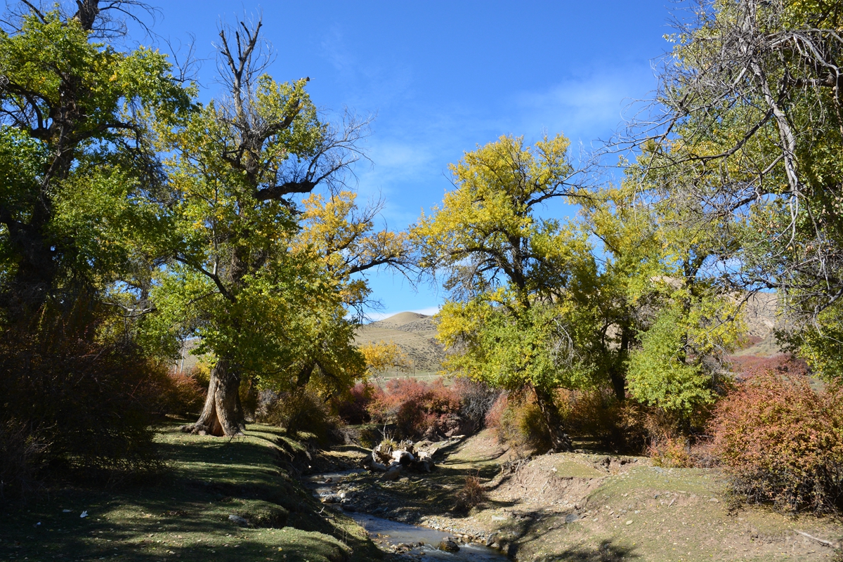 ��ͼ��ʯ���������־��� 141_����.jpg