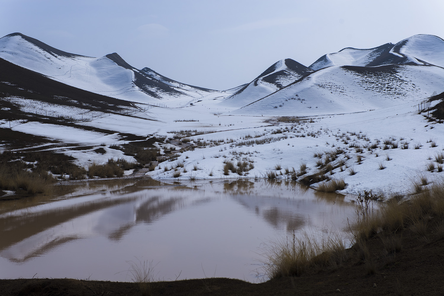 ��ѩ���̶���ȥ