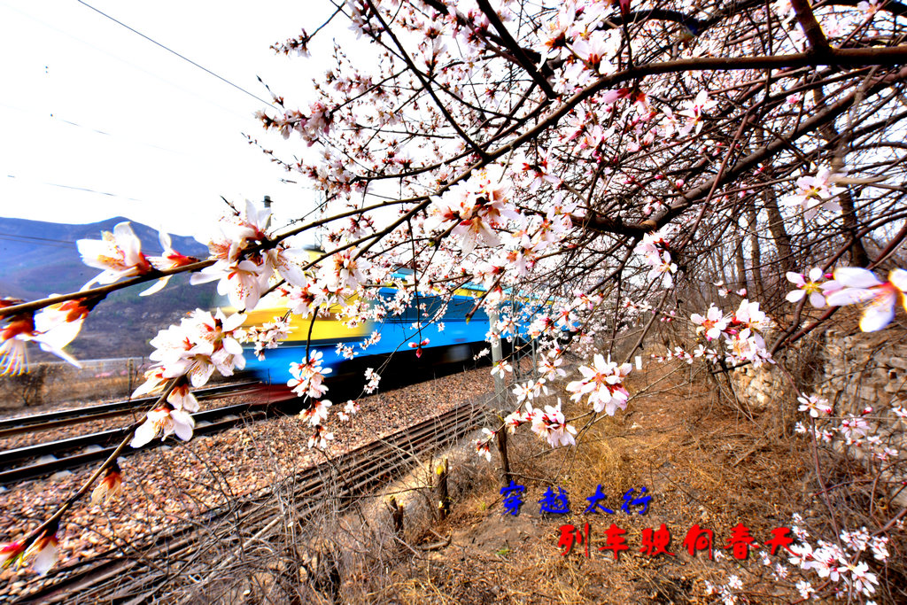 2016-03-28��ʻ������г� 061_���� - ����.jpg