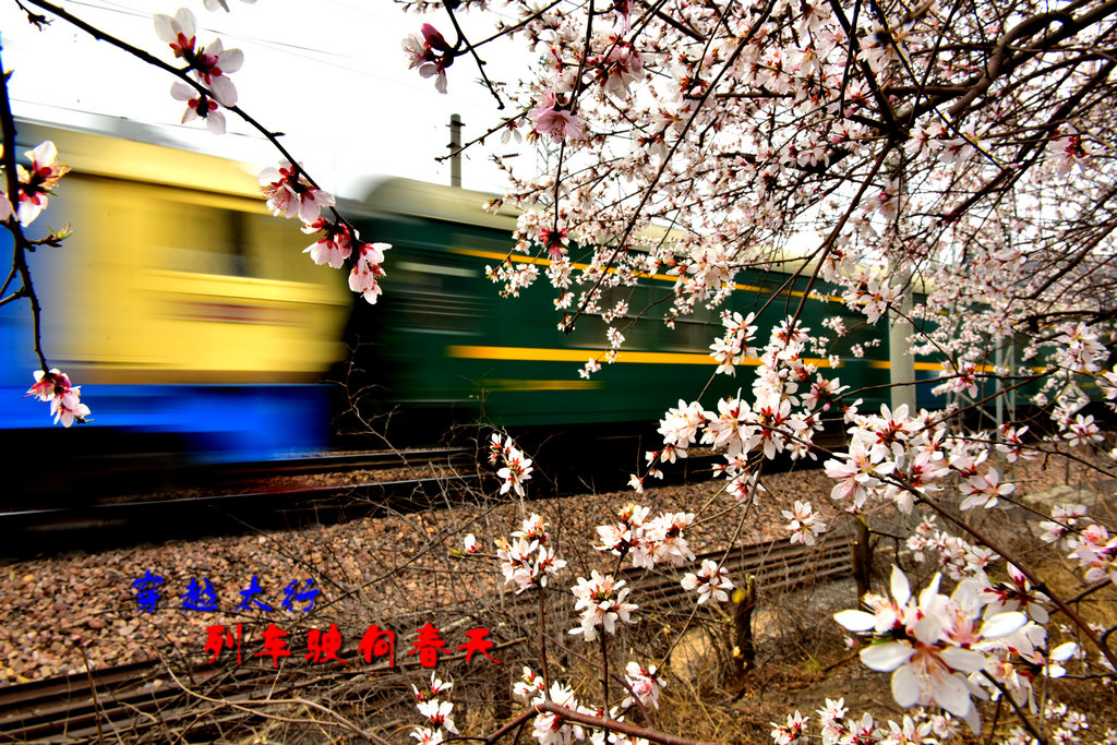 2016-03-28��ʻ������г� 077_���� - ����.jpg