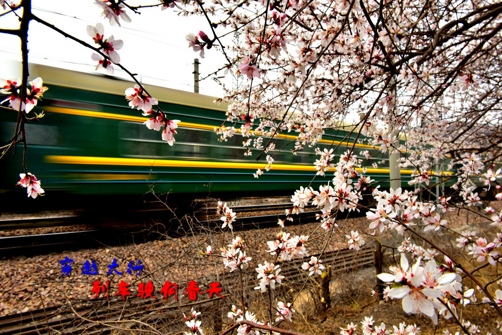 2016-03-28��ʻ������г� 082_����.jpg